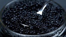 Black Caviar Wallpaper Download