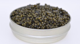 Black Caviar Wallpaper For Desktop
