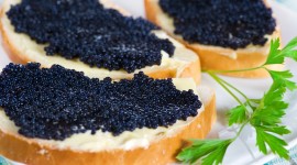Black Caviar Wallpaper For IPhone