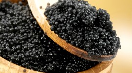 Black Caviar Wallpaper Free