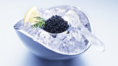 Black Caviar wallpapers high quality
