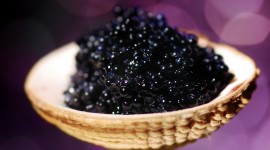 Black Caviar Photo