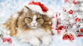 Christmas Cats Desktop Wallpaper Free