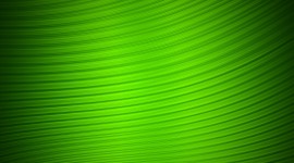 Green Wallpaper For PC