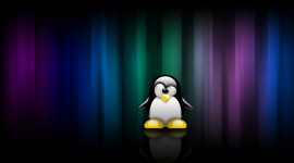 Linux Pics