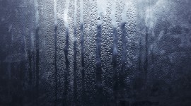Rain Wallpaper Full HD