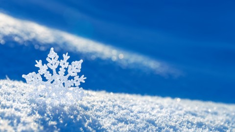 Snowflakes wallpapers high quality