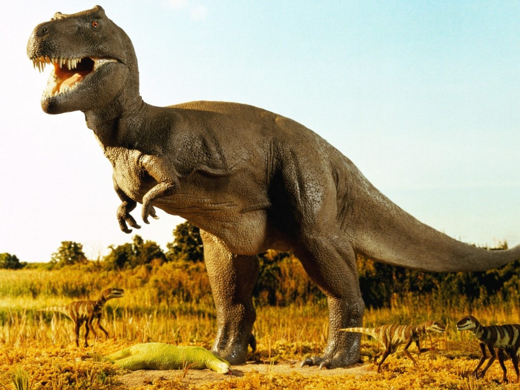 Dinosaurs wallpapers HD