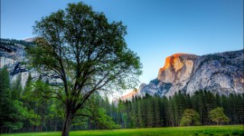 Yosemite Picture
