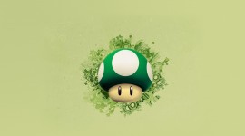 4K Mushrooms Wallpaper Background