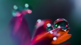 4K The World in a Drop Photo Download