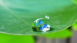 4K The World in a Drop Photo#1