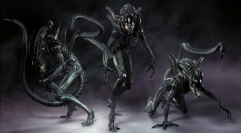 Alien Wallpaper For PC