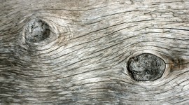 Driftwood Wallpaper