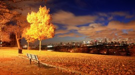 Fall Photo Download