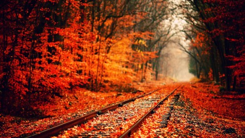 Fall wallpapers high quality