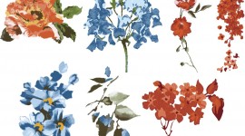 Floral Wallpaper For IPhone Free