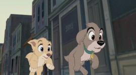 Lady and the Tramp Desktop Wallpaper