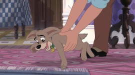 Lady and the Tramp Photo Download