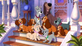 Lady and the Tramp Wallpaper