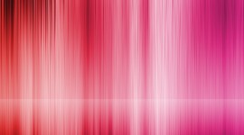 Pink Wallpaper Desktop Wallpaper