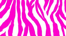 Pink Wallpaper Wallpaper 1080p
