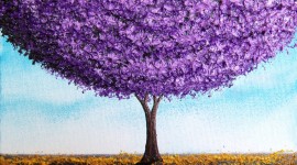 Purple High Quality Wallpaper