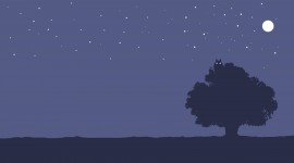Totoro Desktop Wallpaper Free