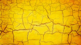 Yellow Wallpaper HD