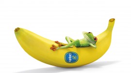 4K Bananas Desktop Wallpaper For PC