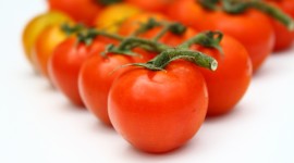 4K Tomatoes Desktop Wallpaper
