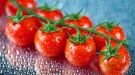 4K Tomatoes Wallpaper Download