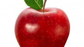Apples Wallpaper For IPhone