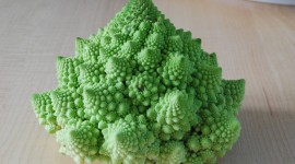 Broccoli Photo Download