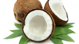 Coconuts High Quality Wallpaper