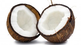 Coconuts Wallpaper For Desktop
