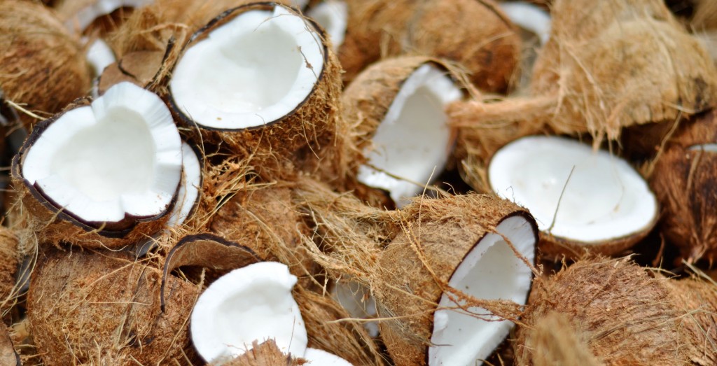 Coconuts wallpapers HD