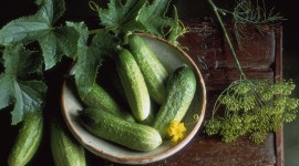 Cucumbers Photo