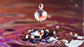 Drips of Water Photo Download