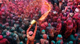 Holi Festival Picture Download