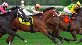 Horse Racing Wallpaper For PC