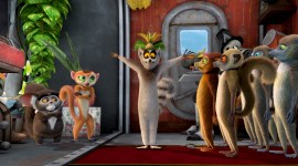 Madagascar Picture Download