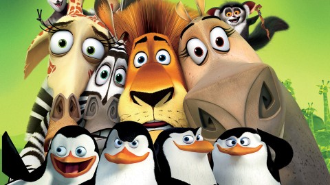 Madagascar wallpapers high quality