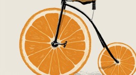 Orange Wallpaper For Mobile