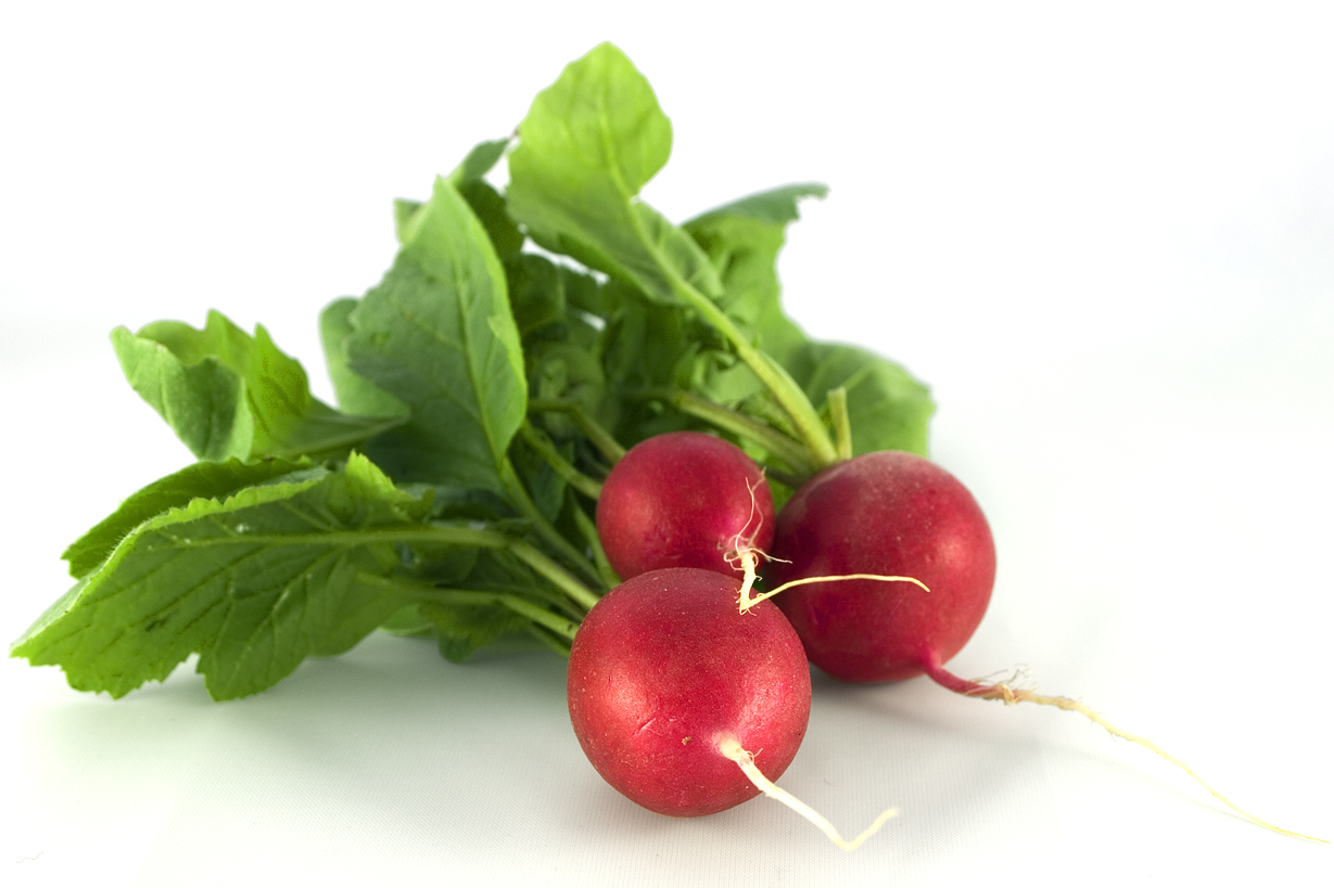 Radish Wallpapers High Quality Download Free