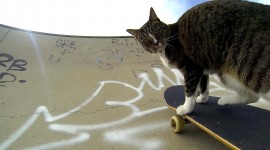 Skateboarding Wallpaper For Desktop