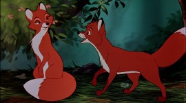 The Fox and the Hound Aircraft Picture