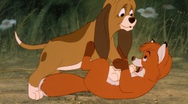 The Fox and the Hound Image