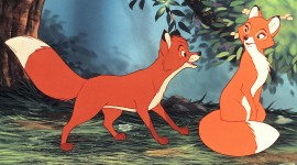 The Fox and the Hound Photo