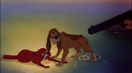 The Fox and the Hound Wallpaper Full HD